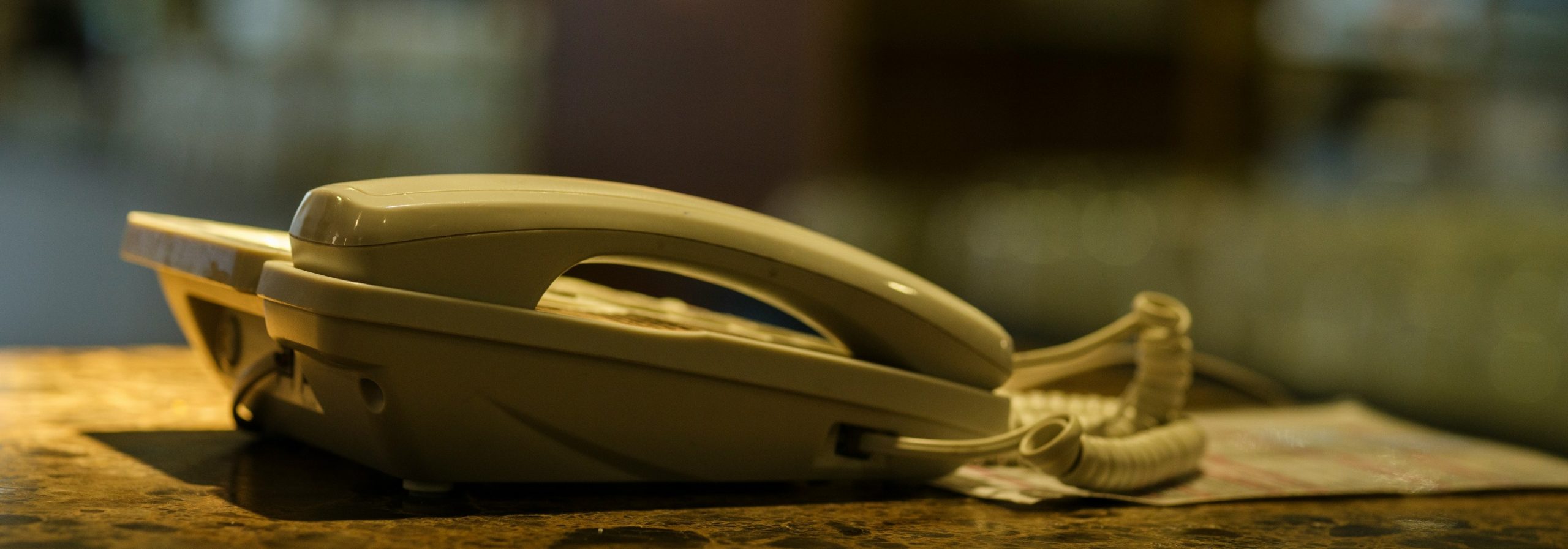 Vestibulum Ante Ipsum